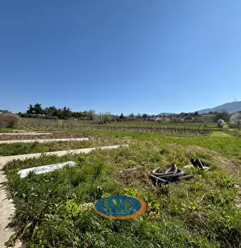 Foto annuncio 24