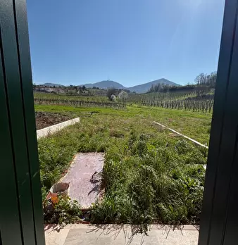 Foto annuncio 26