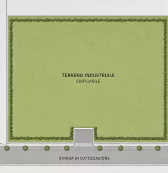 Foto annuncio 19