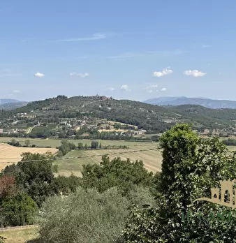 Foto annuncio 19