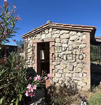 Foto annuncio 12