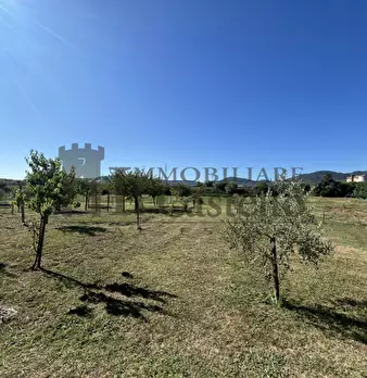 Foto annuncio 14