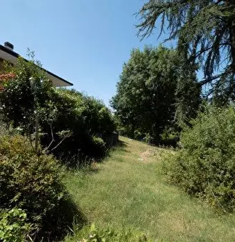 Foto annuncio 11