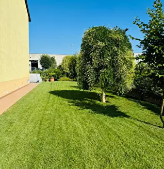 Foto annuncio 38