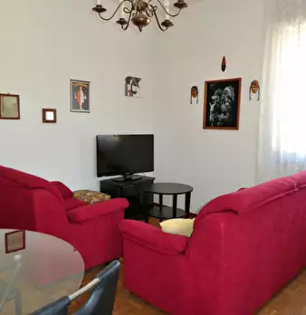 Foto annuncio 7