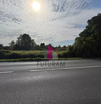 Foto annuncio 19