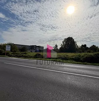 Foto annuncio 20