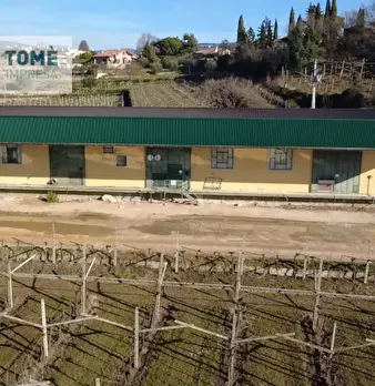 Foto annuncio 8
