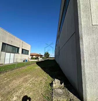 Foto annuncio 7
