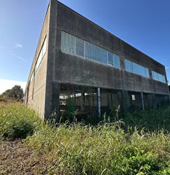 Foto annuncio 9