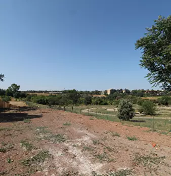 Foto annuncio 31