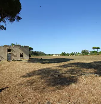 Foto annuncio 4