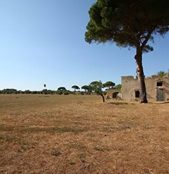 Foto annuncio 6