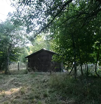 Foto annuncio 3