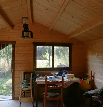 Foto annuncio 8
