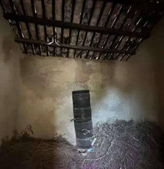 Foto annuncio 28