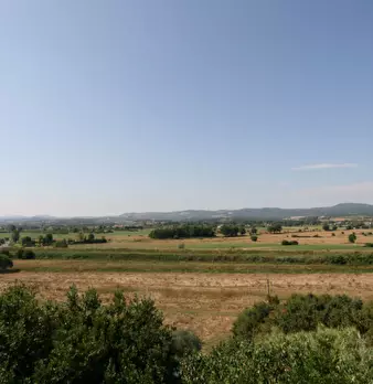 Foto annuncio 14