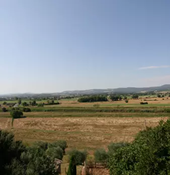 Foto annuncio 19