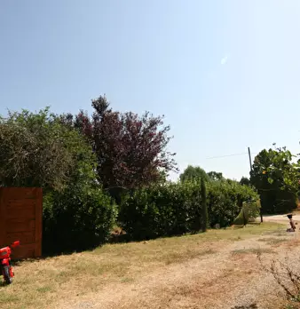 Foto annuncio 56