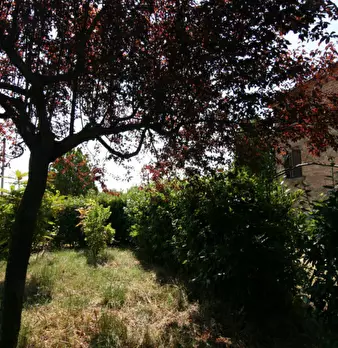 Foto annuncio 57
