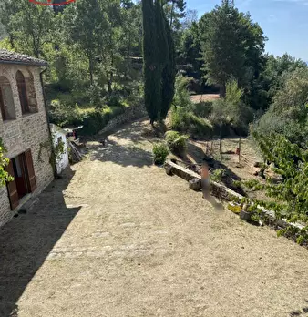 Foto annuncio 63