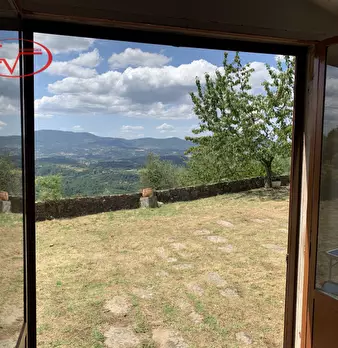 Foto annuncio 66