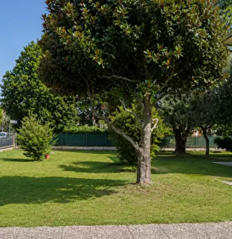 Foto annuncio 30