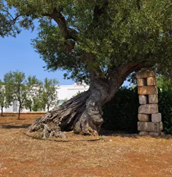 Foto annuncio 44