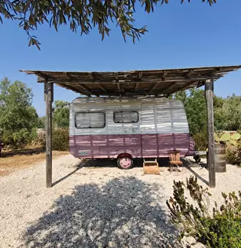 Foto annuncio 54