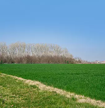 Foto annuncio 65