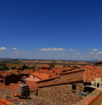 Foto annuncio 21