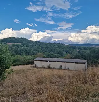 Foto annuncio 3