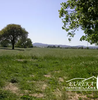 Foto annuncio 41