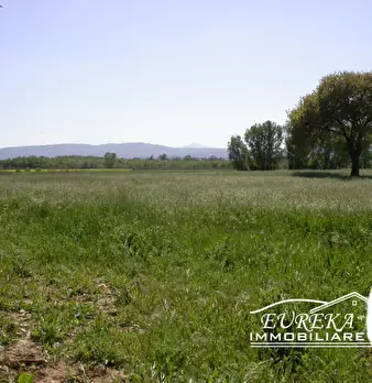 Foto annuncio 45