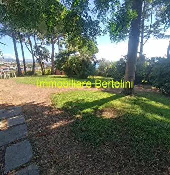 Foto annuncio 15