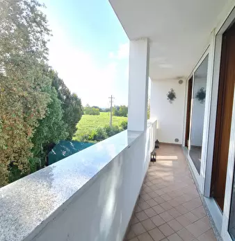Foto annuncio 25