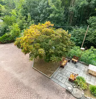 Foto annuncio 29