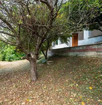 Foto annuncio 25