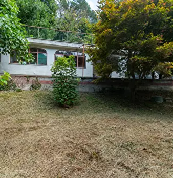 Foto annuncio 28