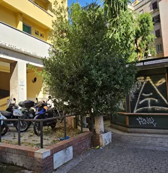 Foto annuncio 7