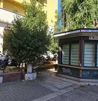 Foto annuncio 11