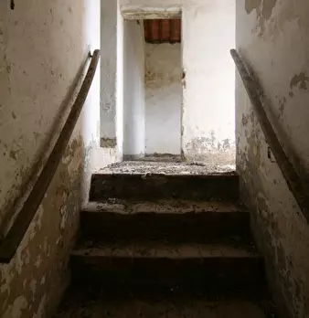 Foto annuncio 21