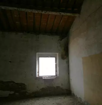 Foto annuncio 23