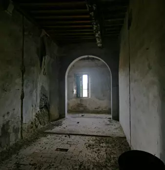 Foto annuncio 31