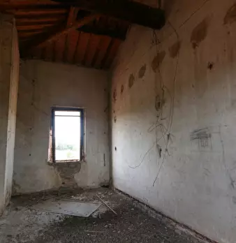 Foto annuncio 33