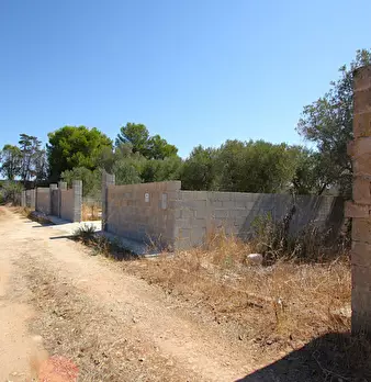 Foto annuncio 10