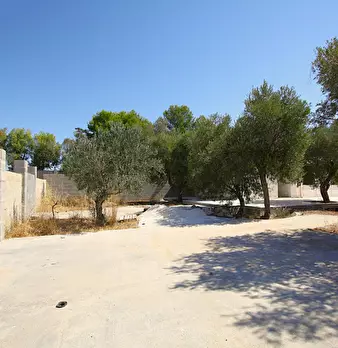 Foto annuncio 12