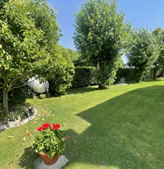 Foto annuncio 3