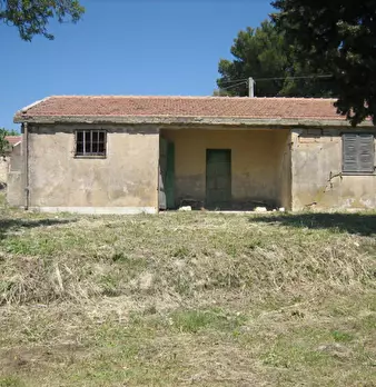 Foto annuncio 2