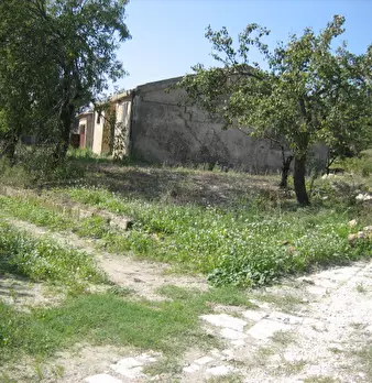 Foto annuncio 4